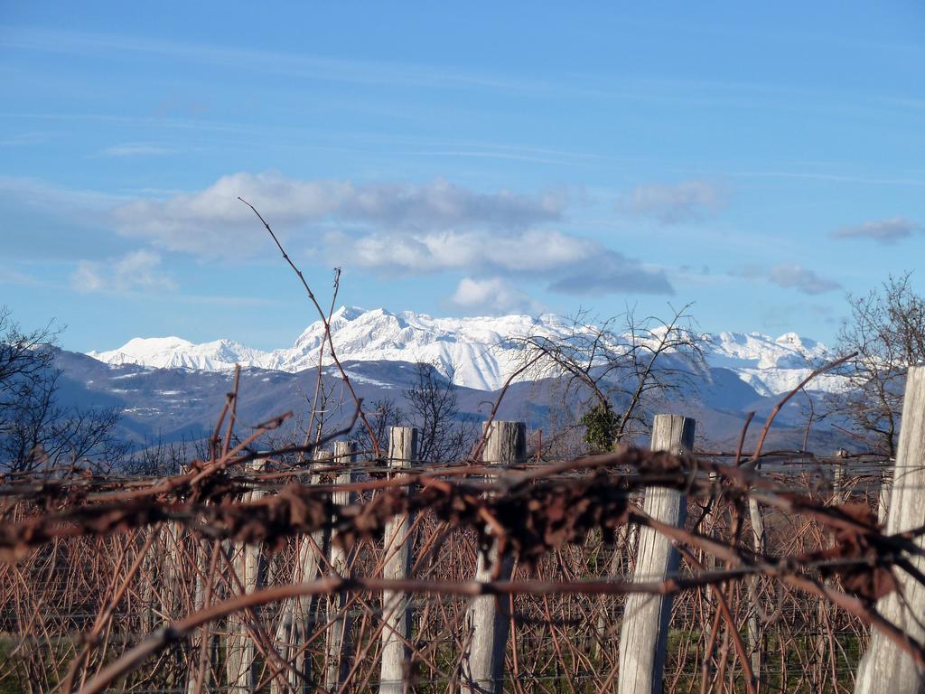 Tenuta Perusini Corno di Rosazzo Екстериор снимка